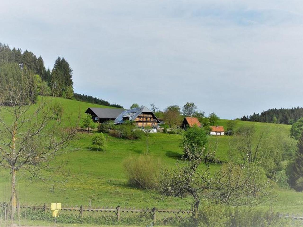 Sigmundenhof Apartment Schonach im Schwarzwald ภายนอก รูปภาพ