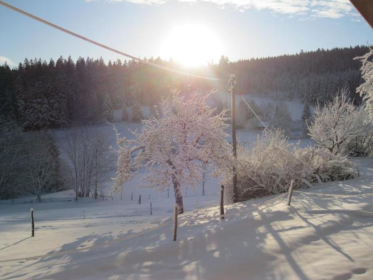 Sigmundenhof Apartment Schonach im Schwarzwald ภายนอก รูปภาพ